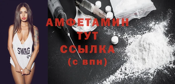 ALPHA PVP Ельня