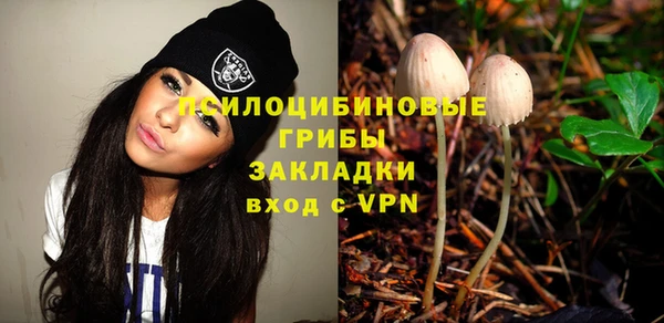 ALPHA PVP Ельня
