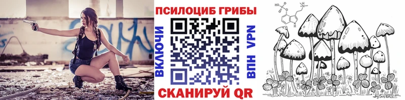 MEGA ТОР  Зубцов  Галлюциногенные грибы мицелий 